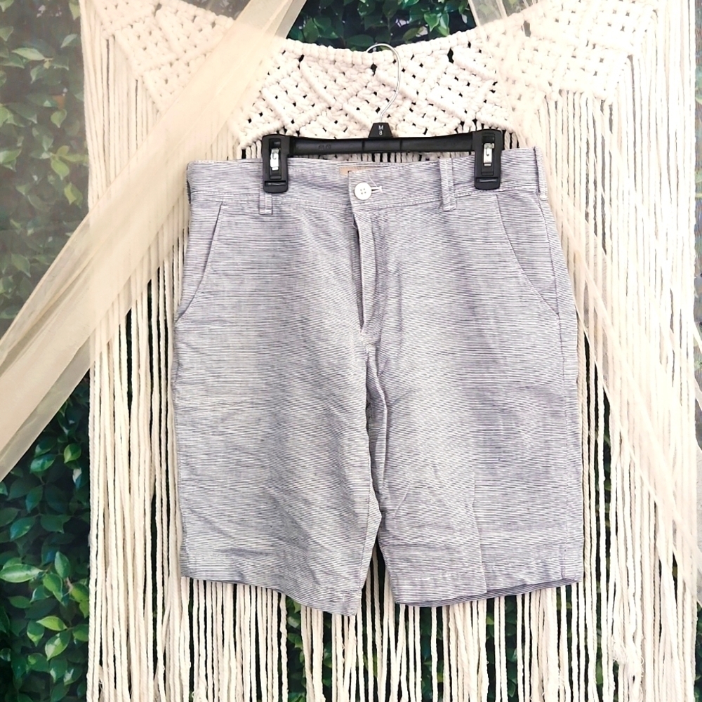 Express Striped Shorts